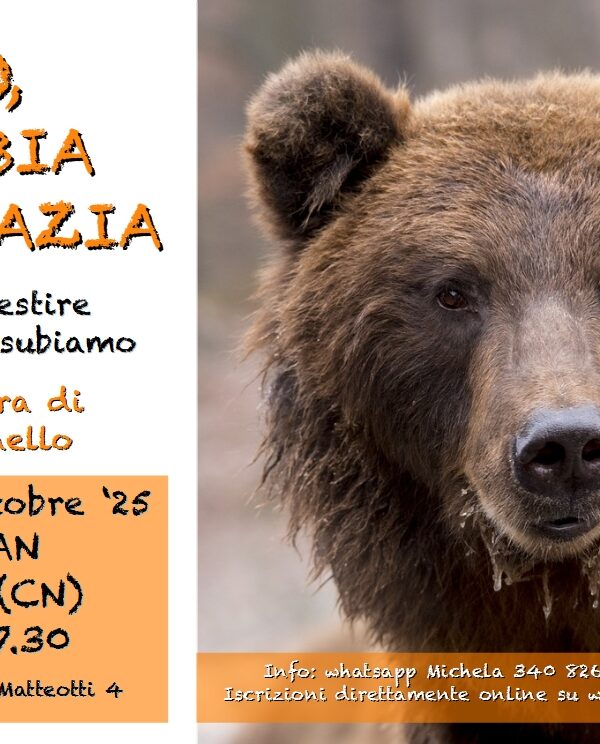 L'ORSO, LA RABBIA E LA GRAZIA - per trasformare le emozioni che subiamo | DALMAZZO (CN)